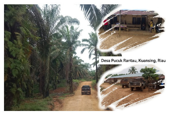 Desa_Puncuk_Rantau_.jpg